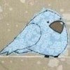 Naissance Oiseau Bleu